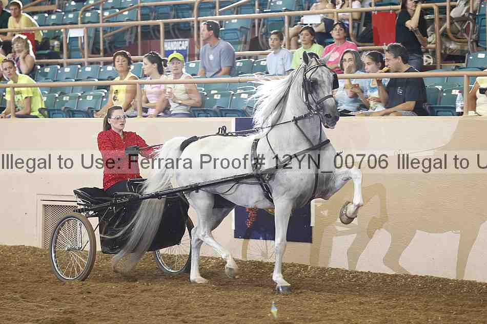 Proof 12yn_00706