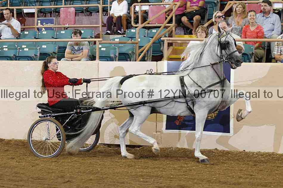Proof 12yn_00707