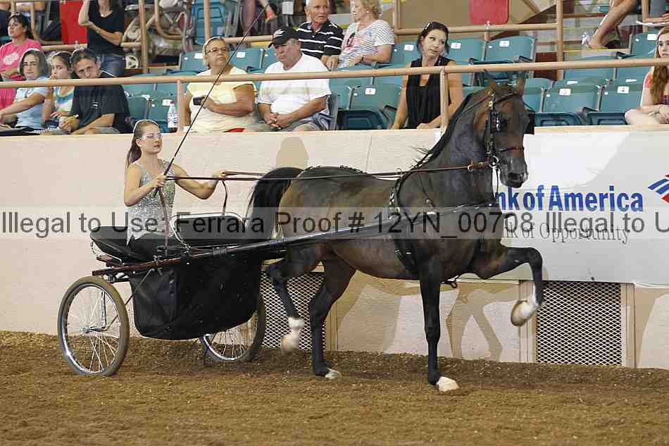 Proof 12yn_00708