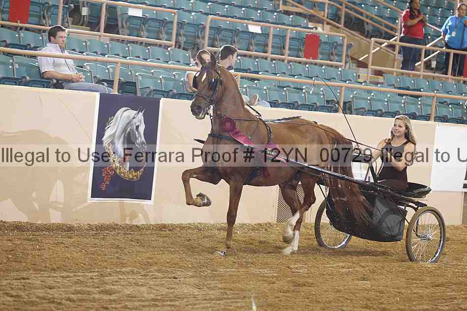 Proof 12yn_00729