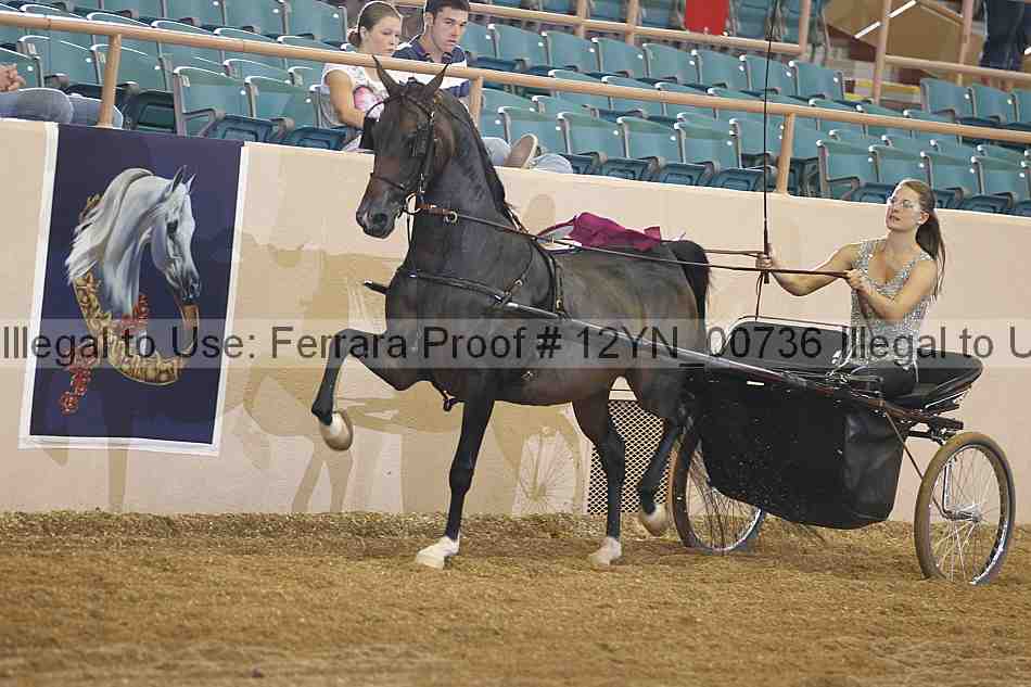 Proof 12yn_00736