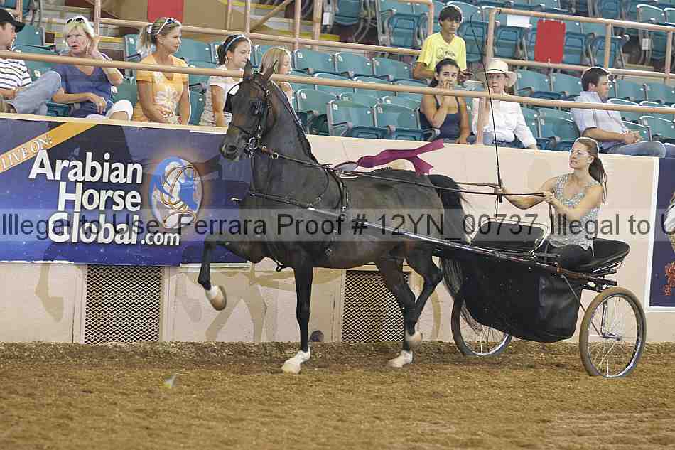Proof 12yn_00737