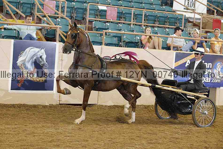 Proof 12yn_00740