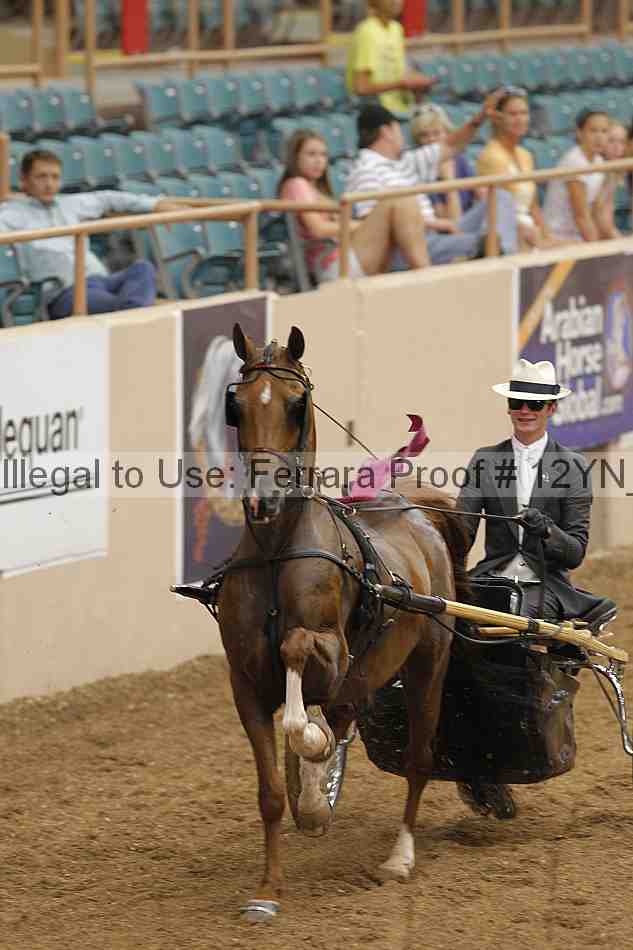 Proof 12yn_00747