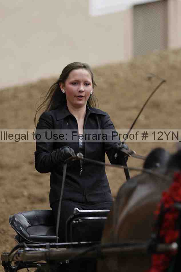 Proof 12yn_00757