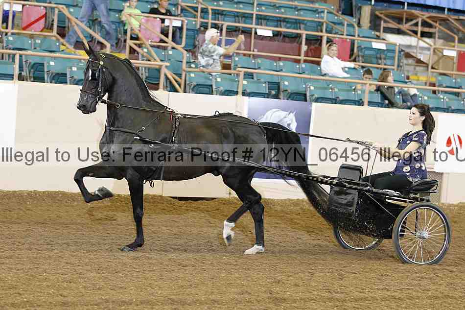 Proof 12yn_06456