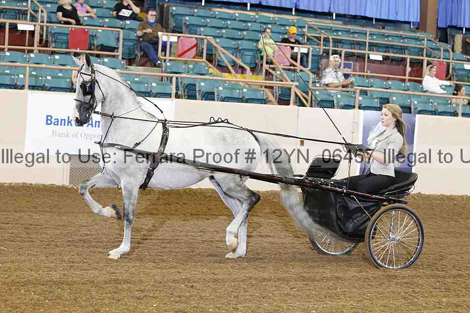 Proof 12yn_06457