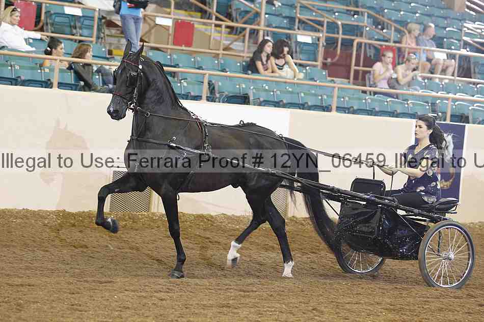 Proof 12yn_06459