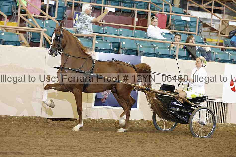 Proof 12yn_06460