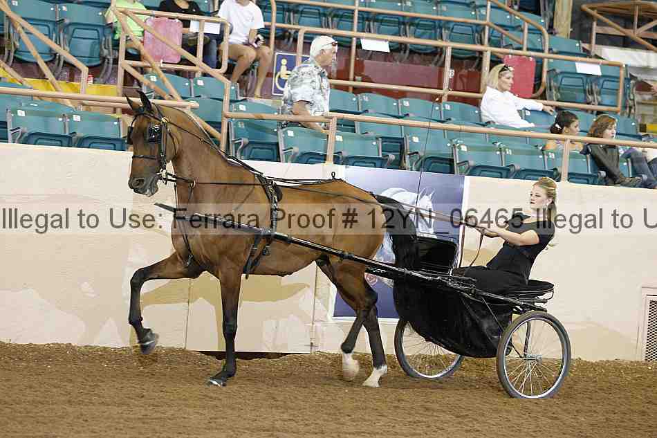 Proof 12yn_06465