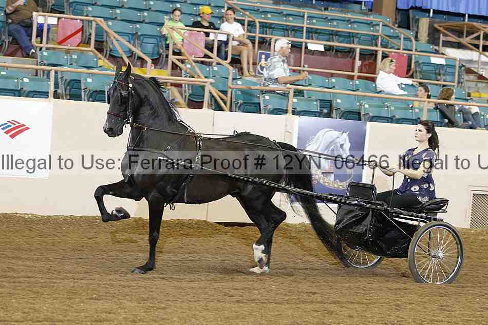 Proof 12yn_06466