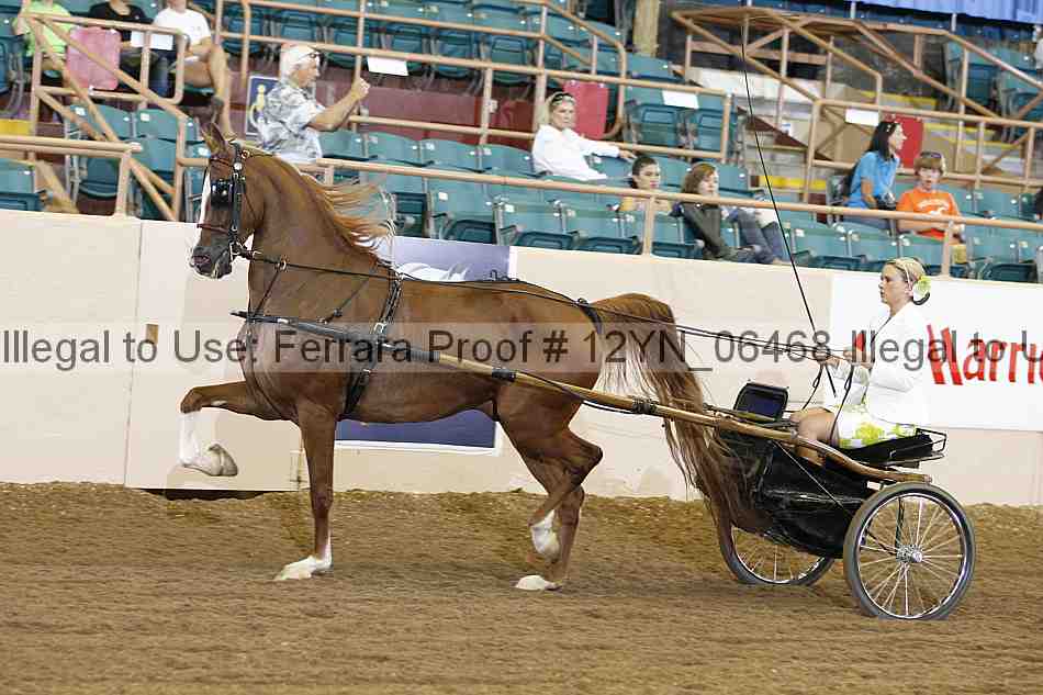 Proof 12yn_06468