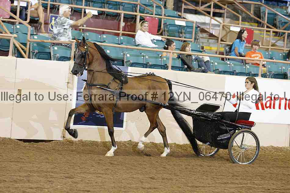 Proof 12yn_06470