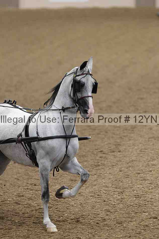 Proof 12yn_06471