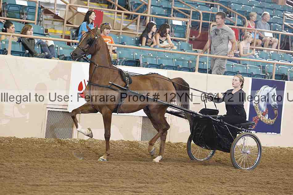 Proof 12yn_06472