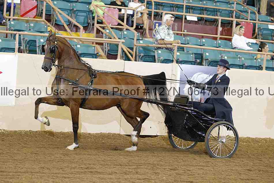 Proof 12yn_06473