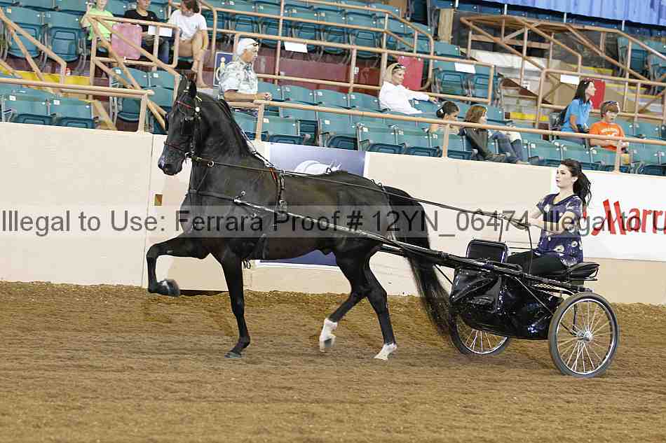 Proof 12yn_06474