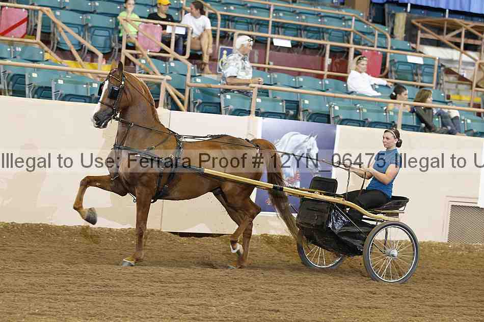 Proof 12yn_06475
