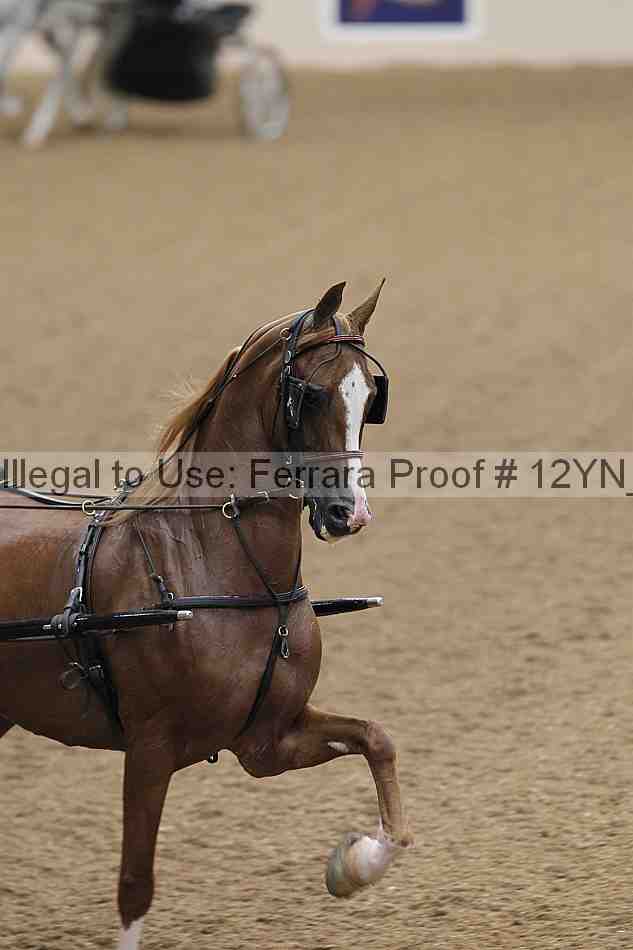 Proof 12yn_06478