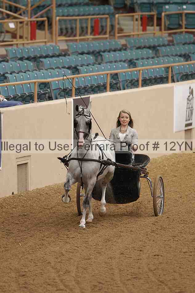 Proof 12yn_06480