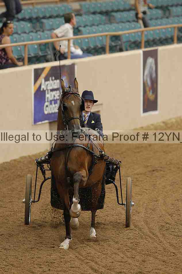 Proof 12yn_06483