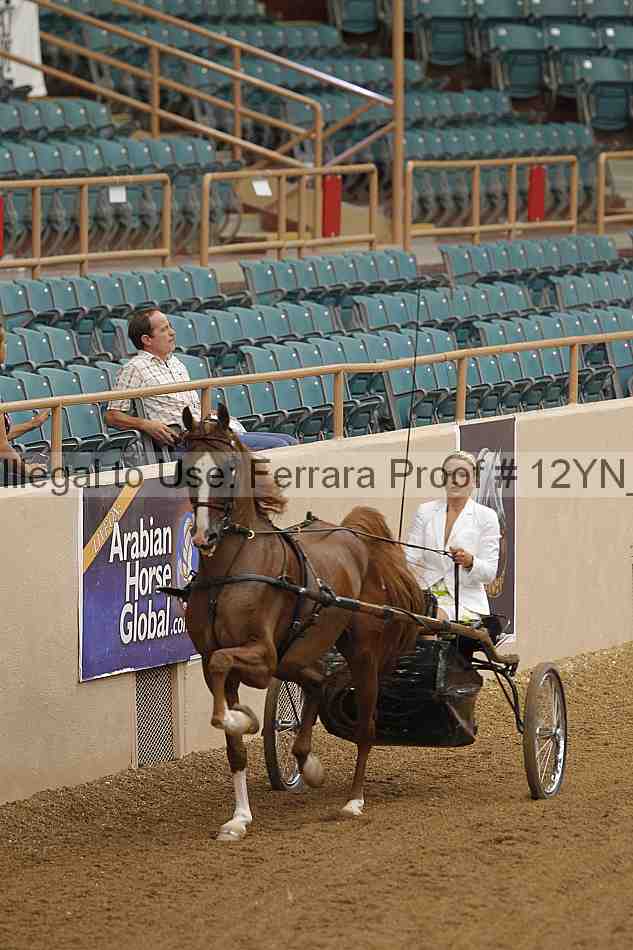 Proof 12yn_06490