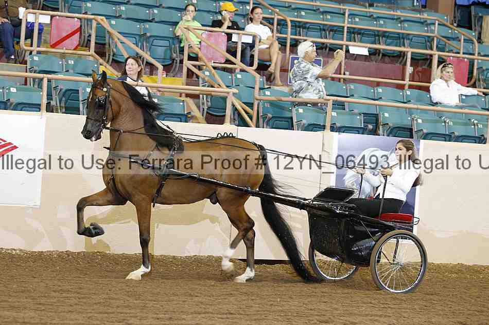 Proof 12yn_06493