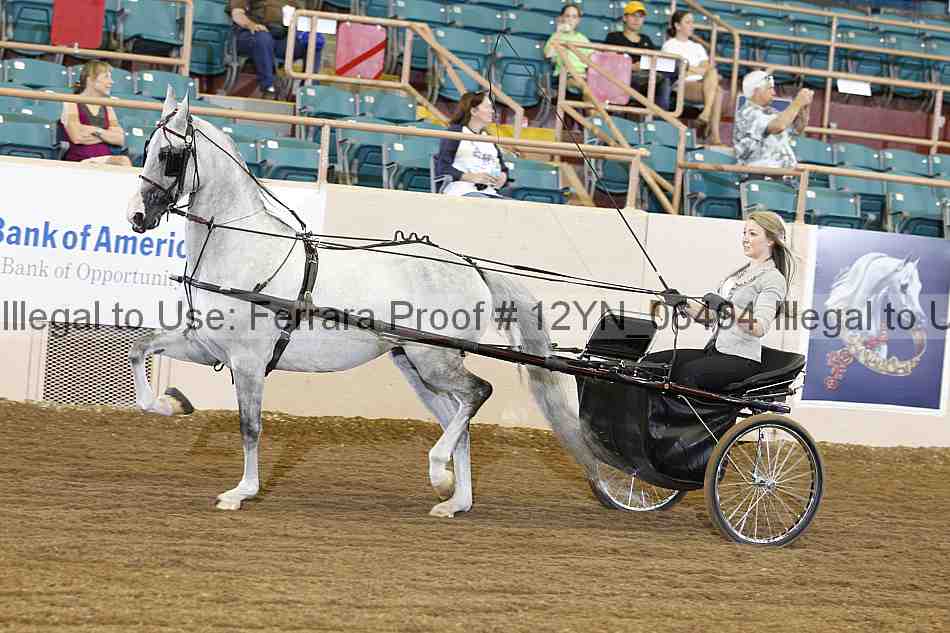 Proof 12yn_06494