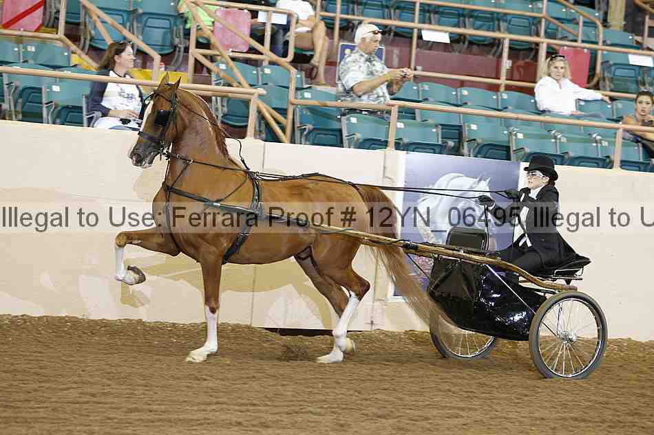 Proof 12yn_06495