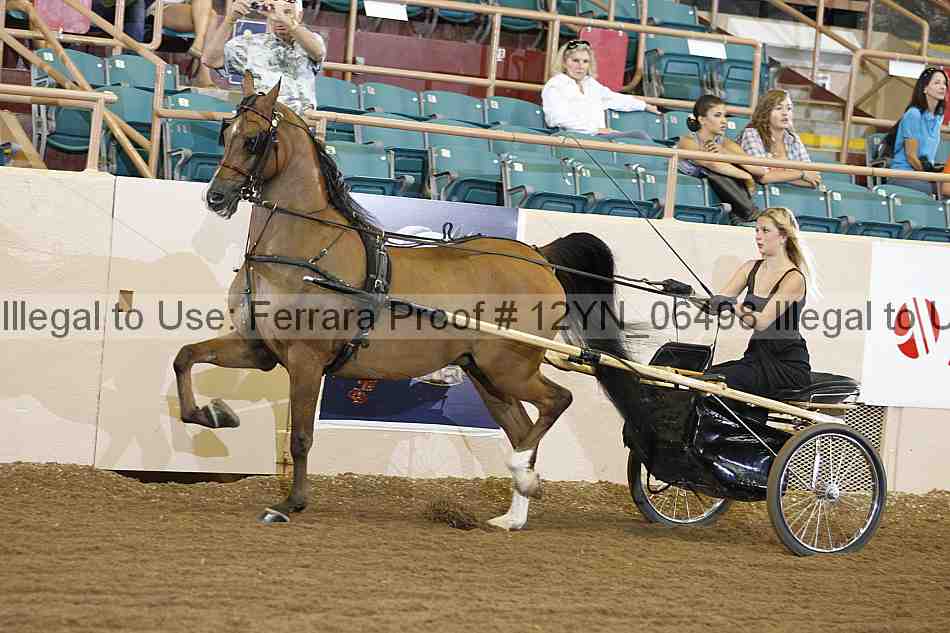 Proof 12yn_06498