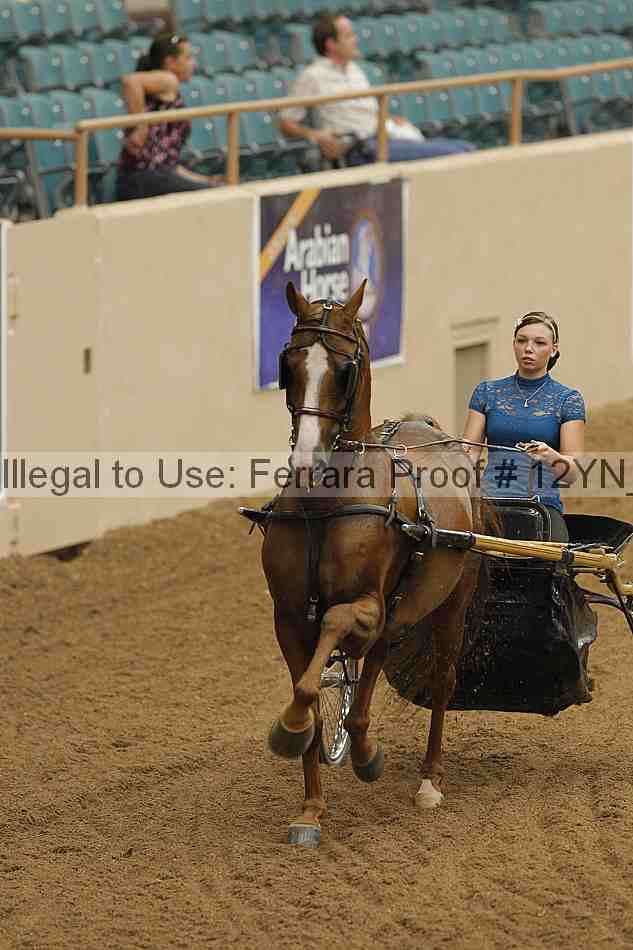 Proof 12yn_06503