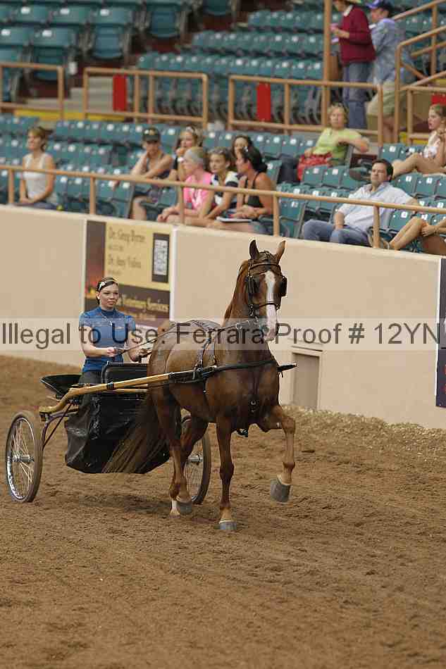 Proof 12yn_06505
