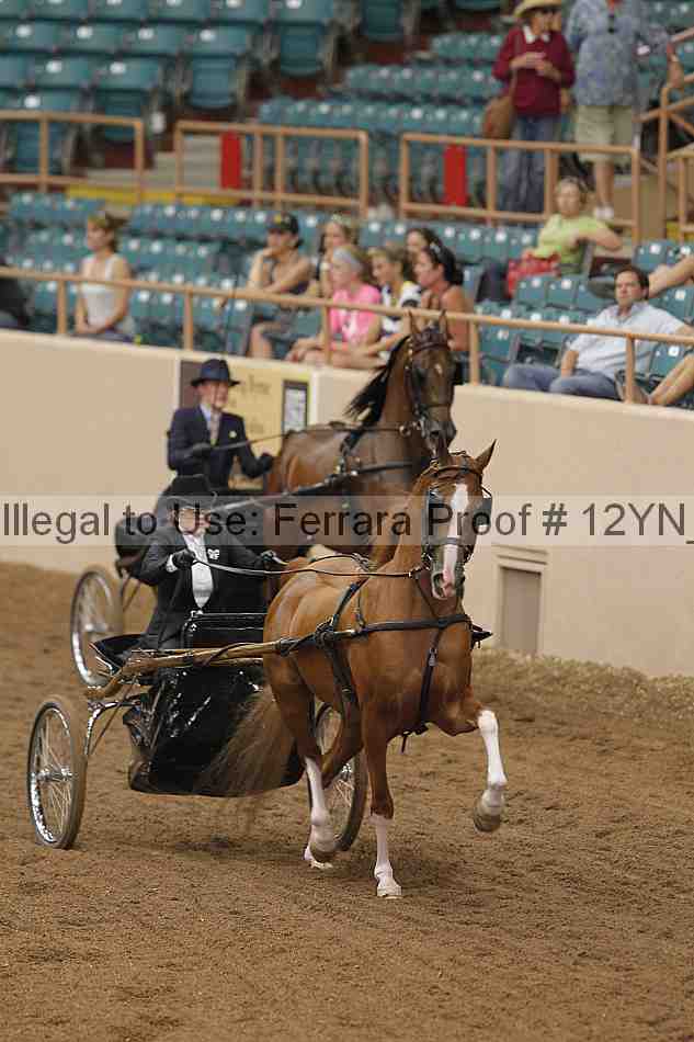 Proof 12yn_06506