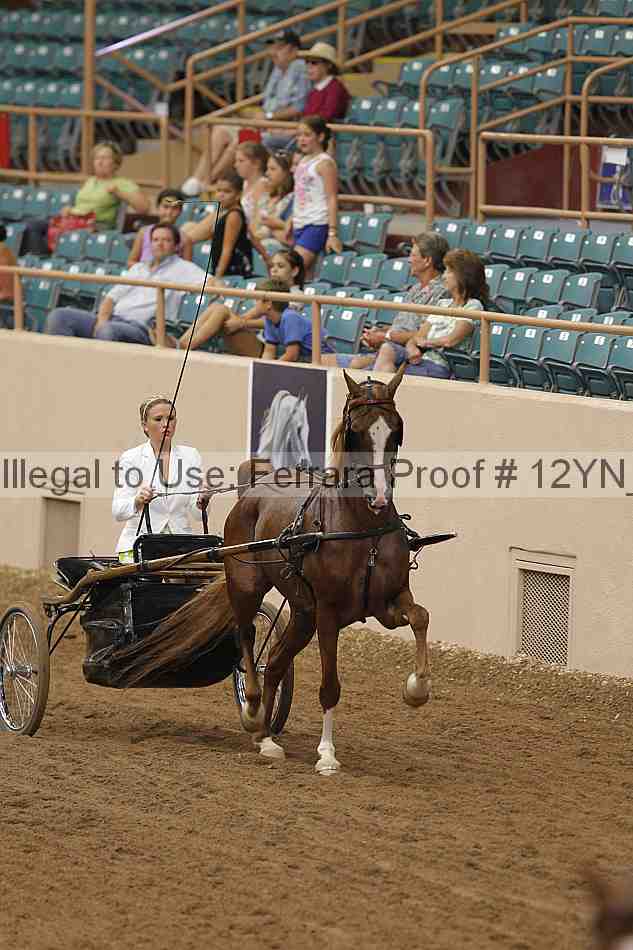 Proof 12yn_06509