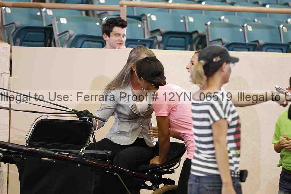 Proof 12yn_06519