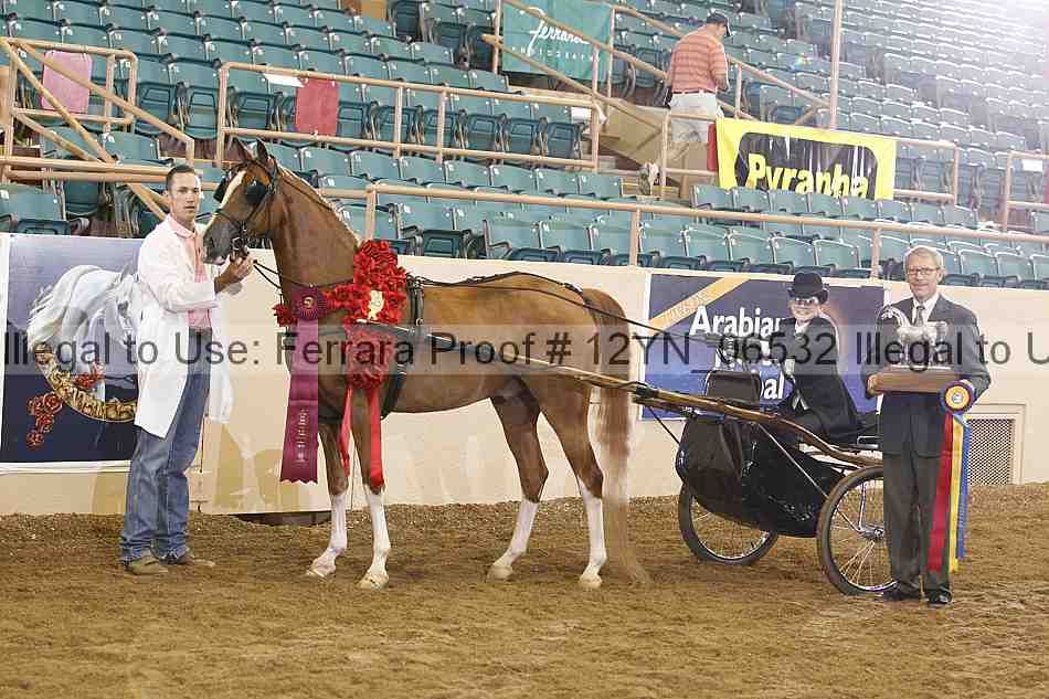 Proof 12yn_06532
