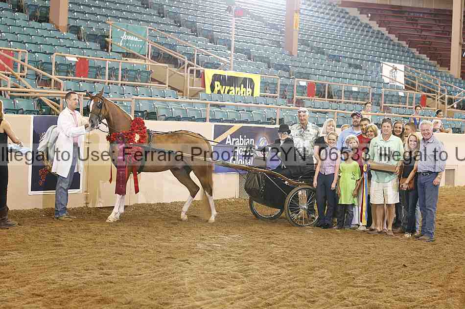 Proof 12yn_06533