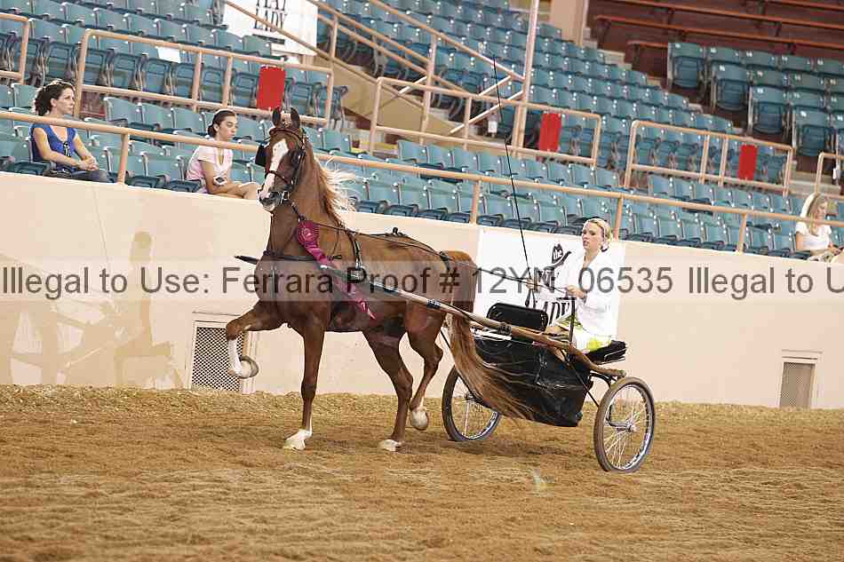Proof 12yn_06535