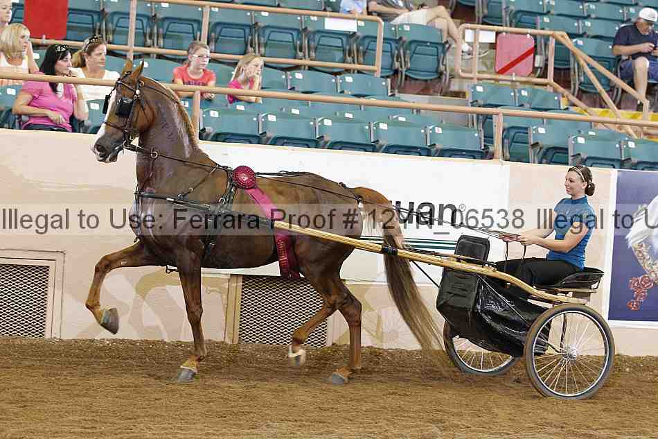 Proof 12yn_06538