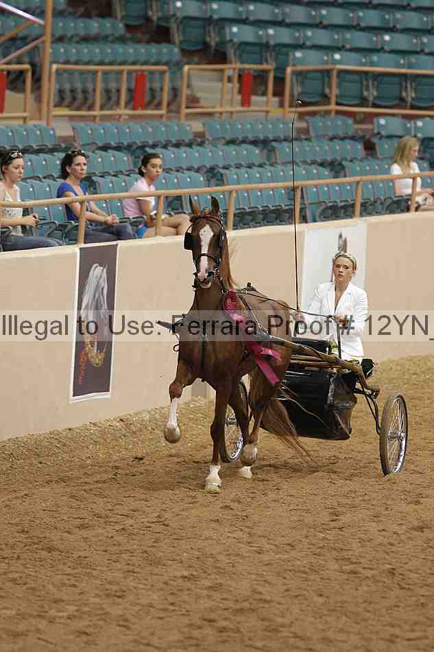 Proof 12yn_06539