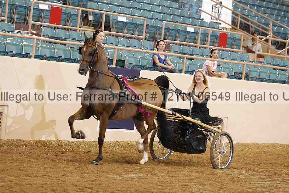 Proof 12yn_06549