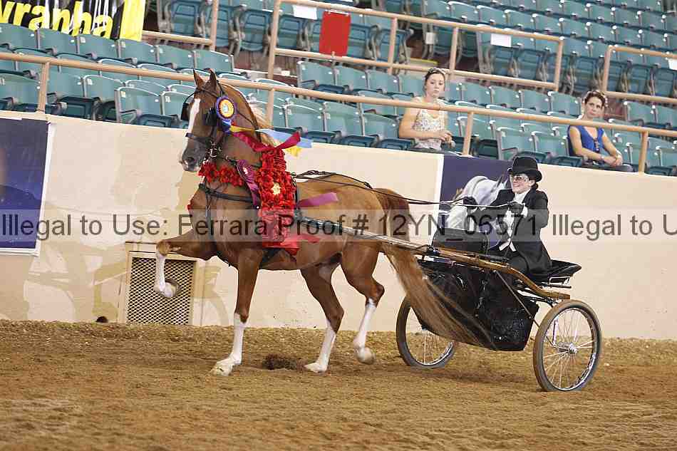Proof 12yn_06571