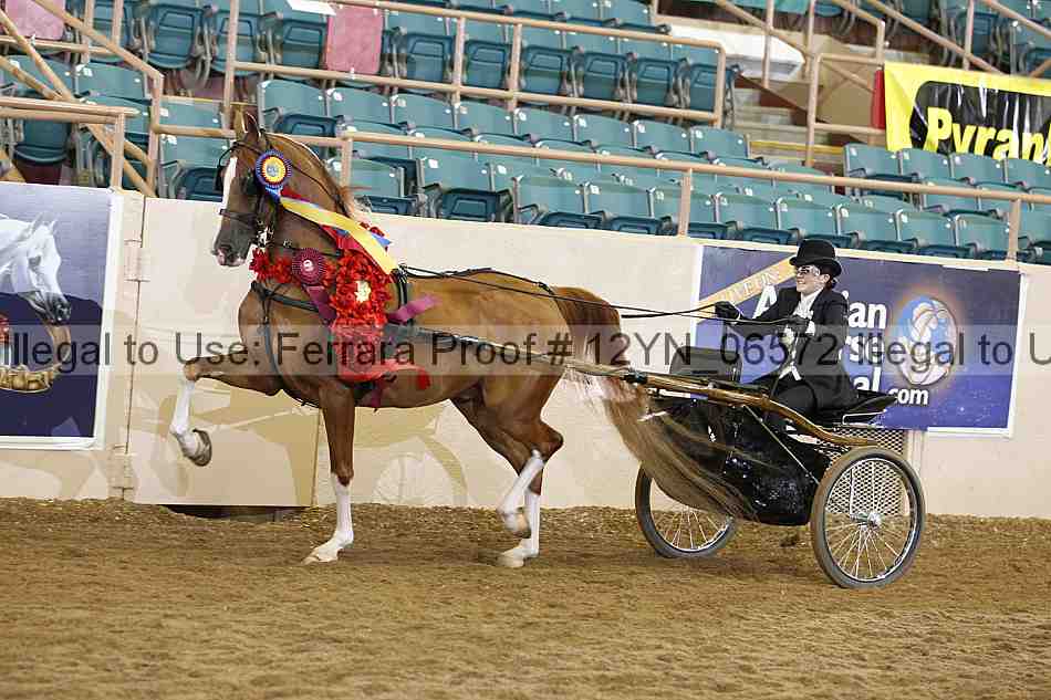Proof 12yn_06572