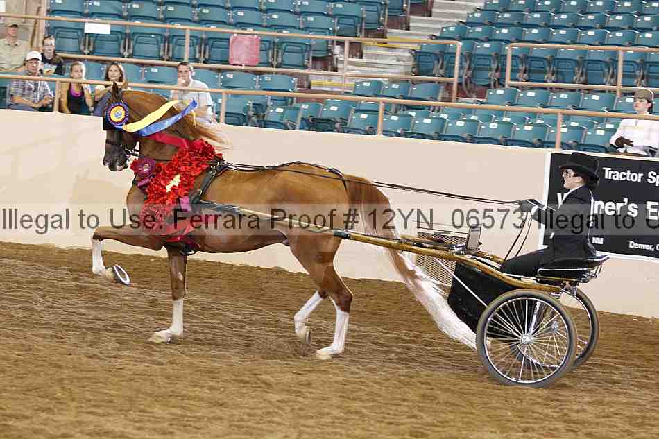 Proof 12yn_06573