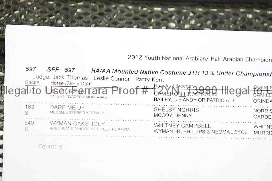 Proof 12yn_13990