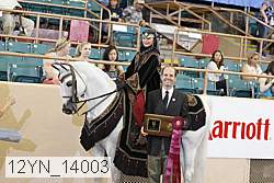 12yn_14003 proof