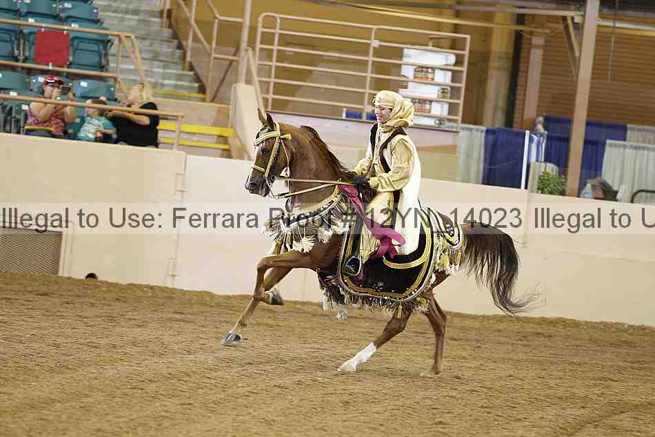 Proof 12yn_14023