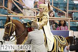 12yn_14027 proof