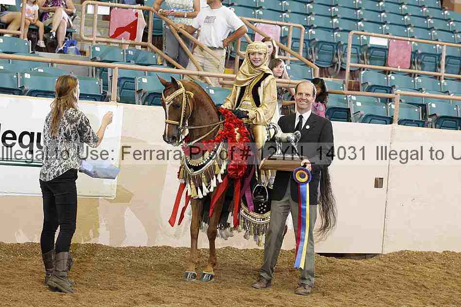 Proof 12yn_14031