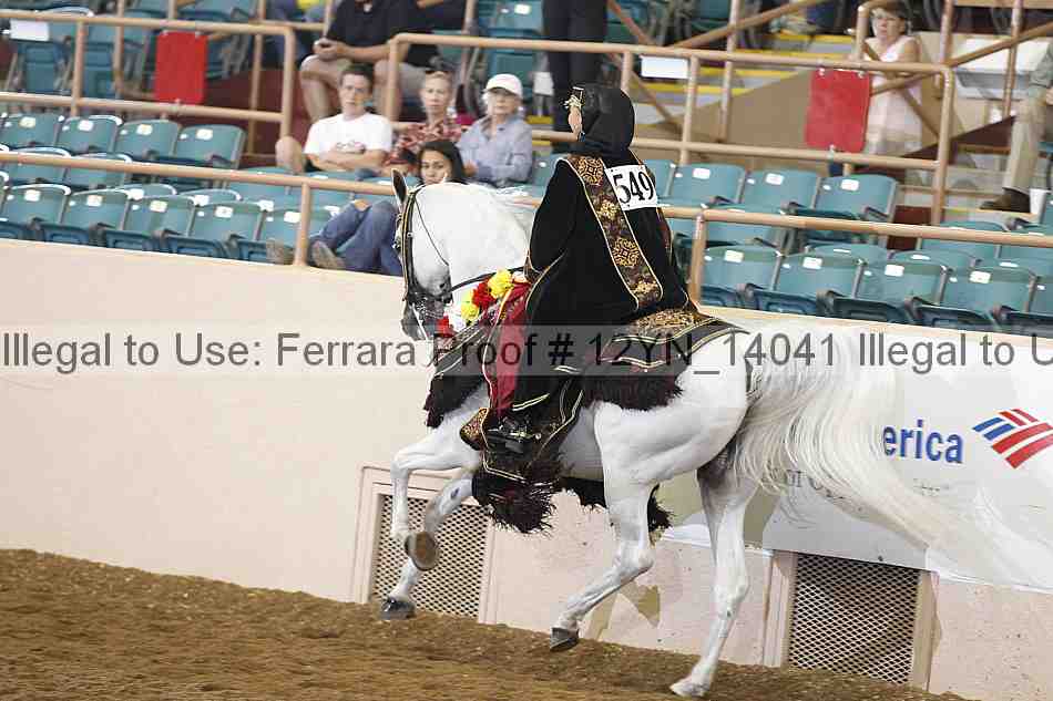 Proof 12yn_14041